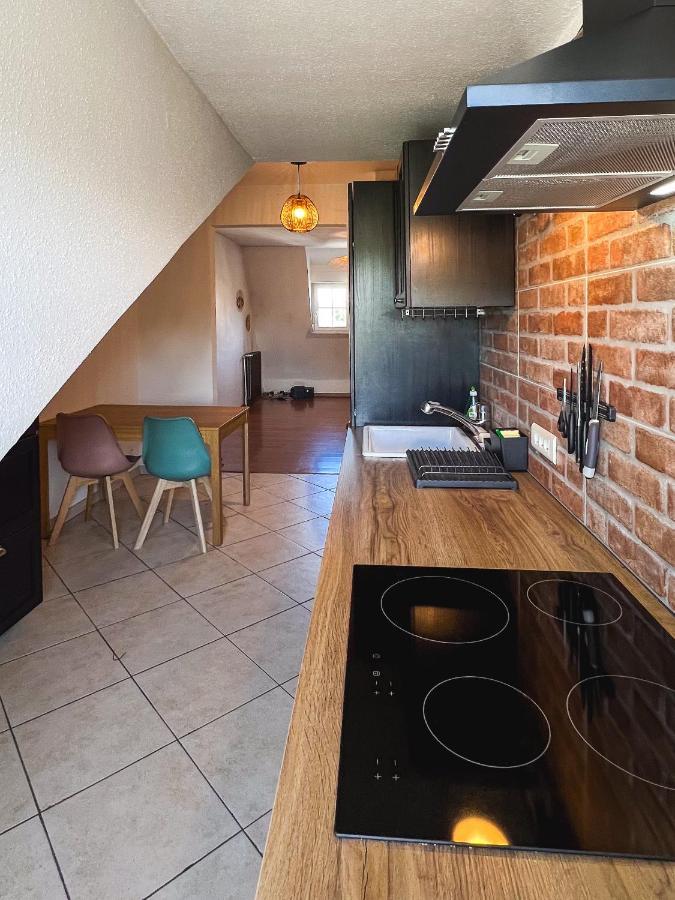 Appart'Hotel Le Dornach - Proche Gare Et Autoroute Мюлуз Экстерьер фото